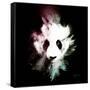 Wild Explosion Square Collection - The Panda-Philippe Hugonnard-Framed Stretched Canvas