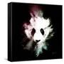 Wild Explosion Square Collection - The Panda-Philippe Hugonnard-Framed Stretched Canvas
