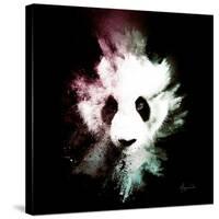 Wild Explosion Square Collection - The Panda-Philippe Hugonnard-Stretched Canvas