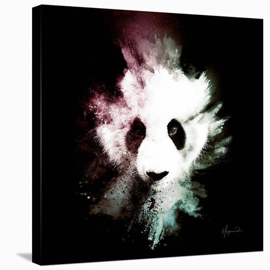 Wild Explosion Square Collection - The Panda-Philippe Hugonnard-Stretched Canvas