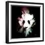 Wild Explosion Square Collection - The Panda-Philippe Hugonnard-Framed Art Print