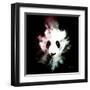 Wild Explosion Square Collection - The Panda-Philippe Hugonnard-Framed Art Print