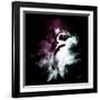 Wild Explosion Square Collection - The Pinguin-Philippe Hugonnard-Framed Art Print