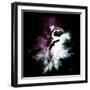 Wild Explosion Square Collection - The Pinguin-Philippe Hugonnard-Framed Art Print