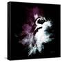 Wild Explosion Square Collection - The Pinguin-Philippe Hugonnard-Framed Stretched Canvas