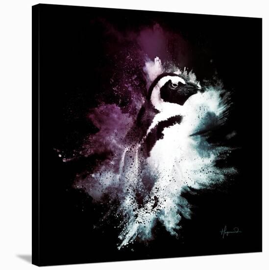 Wild Explosion Square Collection - The Pinguin-Philippe Hugonnard-Stretched Canvas