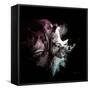 Wild Explosion Square Collection - The Rhino-Philippe Hugonnard-Framed Stretched Canvas