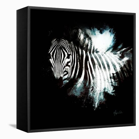 Wild Explosion Square Collection - The Zebra II-Philippe Hugonnard-Framed Stretched Canvas