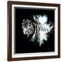 Wild Explosion Square Collection - The Zebra II-Philippe Hugonnard-Framed Art Print