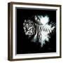 Wild Explosion Square Collection - The Zebra II-Philippe Hugonnard-Framed Art Print