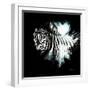 Wild Explosion Square Collection - The Zebra II-Philippe Hugonnard-Framed Art Print