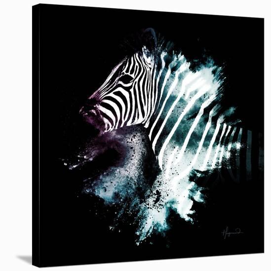 Wild Explosion Square Collection - The Zebra-Philippe Hugonnard-Stretched Canvas