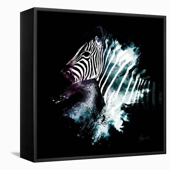 Wild Explosion Square Collection - The Zebra-Philippe Hugonnard-Framed Stretched Canvas