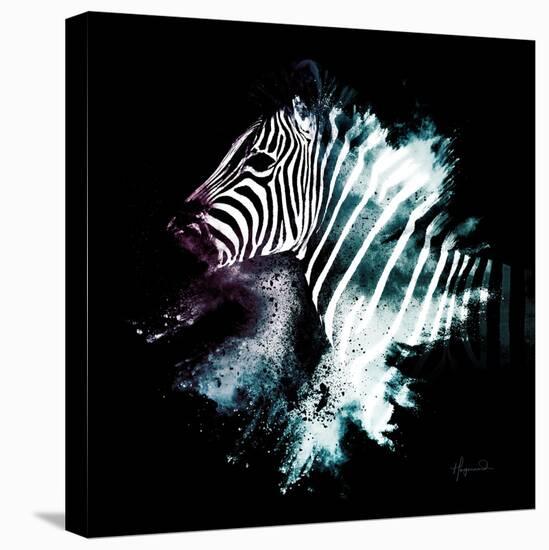 Wild Explosion Square Collection - The Zebra-Philippe Hugonnard-Stretched Canvas