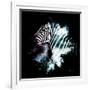 Wild Explosion Square Collection - The Zebra-Philippe Hugonnard-Framed Art Print