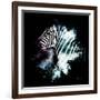 Wild Explosion Square Collection - The Zebra-Philippe Hugonnard-Framed Art Print