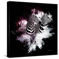 Wild Explosion Square Collection - The Zebras-Philippe Hugonnard-Stretched Canvas