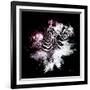 Wild Explosion Square Collection - The Zebras-Philippe Hugonnard-Framed Art Print