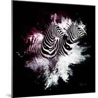 Wild Explosion Square Collection - The Zebras-Philippe Hugonnard-Mounted Art Print