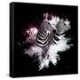 Wild Explosion Square Collection - The Zebras-Philippe Hugonnard-Framed Stretched Canvas