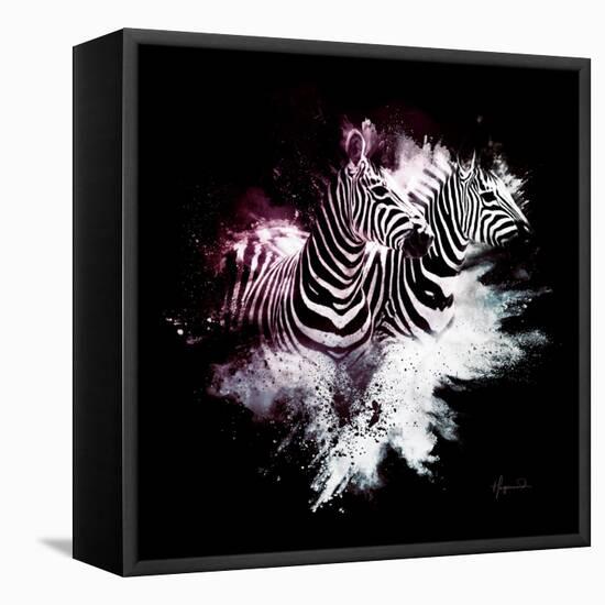 Wild Explosion Square Collection - The Zebras-Philippe Hugonnard-Framed Stretched Canvas