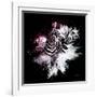 Wild Explosion Square Collection - The Zebras-Philippe Hugonnard-Framed Art Print