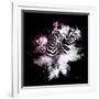 Wild Explosion Square Collection - The Zebras-Philippe Hugonnard-Framed Premium Giclee Print