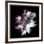 Wild Explosion Square Collection - The Zebras-Philippe Hugonnard-Framed Premium Giclee Print