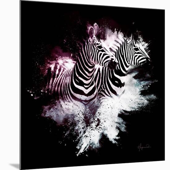 Wild Explosion Square Collection - The Zebras-Philippe Hugonnard-Mounted Premium Giclee Print
