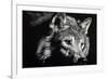 Wild Eyes-Julie Chapman-Framed Premium Giclee Print