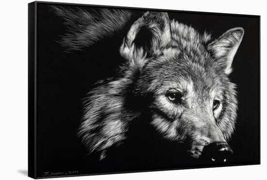 Wild Eyes-Julie Chapman-Framed Stretched Canvas