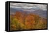 Wild Fall Color, White Mountain New Hampshire-Vincent James-Framed Stretched Canvas