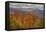 Wild Fall Color, White Mountain New Hampshire-Vincent James-Framed Stretched Canvas