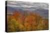 Wild Fall Color, White Mountain New Hampshire-Vincent James-Stretched Canvas