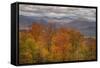 Wild Fall Color, White Mountain New Hampshire-Vincent James-Framed Stretched Canvas
