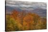 Wild Fall Color, White Mountain New Hampshire-Vincent James-Stretched Canvas