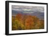 Wild Fall Color, White Mountain New Hampshire-Vincent James-Framed Photographic Print