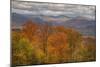 Wild Fall Color, White Mountain New Hampshire-Vincent James-Mounted Photographic Print