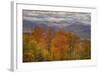 Wild Fall Color, White Mountain New Hampshire-Vincent James-Framed Photographic Print