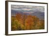 Wild Fall Color, White Mountain New Hampshire-Vincent James-Framed Photographic Print