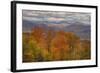 Wild Fall Color, White Mountain New Hampshire-Vincent James-Framed Photographic Print