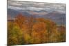 Wild Fall Color, White Mountain New Hampshire-Vincent James-Mounted Photographic Print