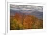 Wild Fall Color, White Mountain New Hampshire-Vincent James-Framed Photographic Print