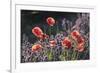 Wild Florals-Tim Mannakee-Framed Giclee Print