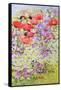 Wild Flower Conservation; Garden Border-Joan Thewsey-Framed Stretched Canvas
