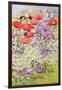 Wild Flower Conservation; Garden Border-Joan Thewsey-Framed Giclee Print