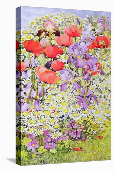 Wild Flower Conservation; Garden Border-Joan Thewsey-Stretched Canvas