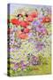 Wild Flower Conservation; Garden Border-Joan Thewsey-Stretched Canvas