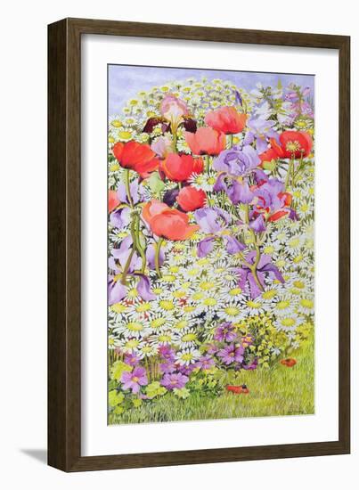 Wild Flower Conservation; Garden Border-Joan Thewsey-Framed Giclee Print