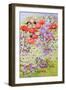 Wild Flower Conservation; Garden Border-Joan Thewsey-Framed Giclee Print